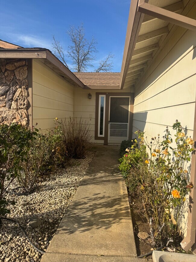 Building Photo - 113 Carney Cir