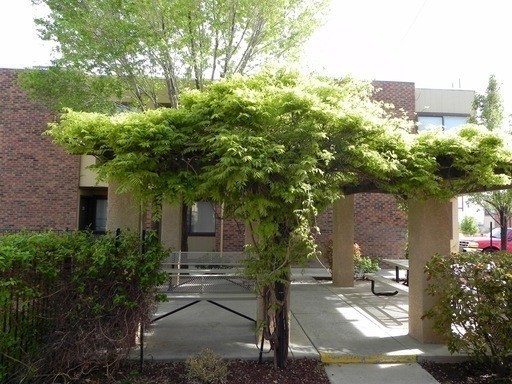 Building Photo - Spacious 2 Bed Townhouse In NE Heights!