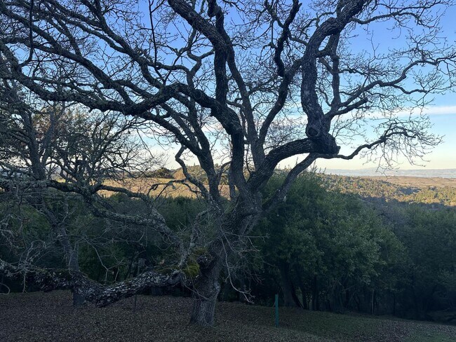 Foto del edificio - 16 Franciscan Ridge
