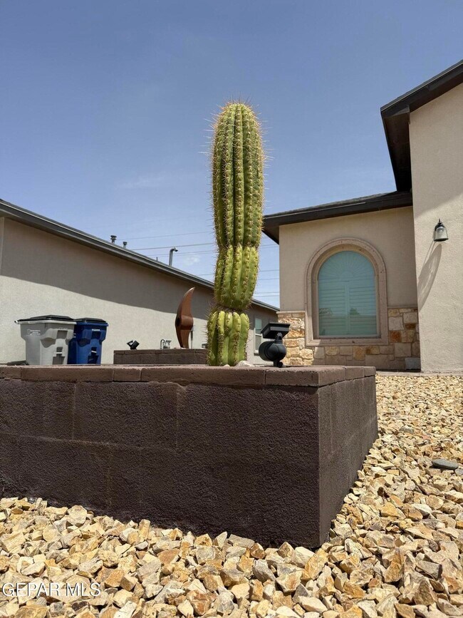 Foto del edificio - 2836 Tierra Oasis St