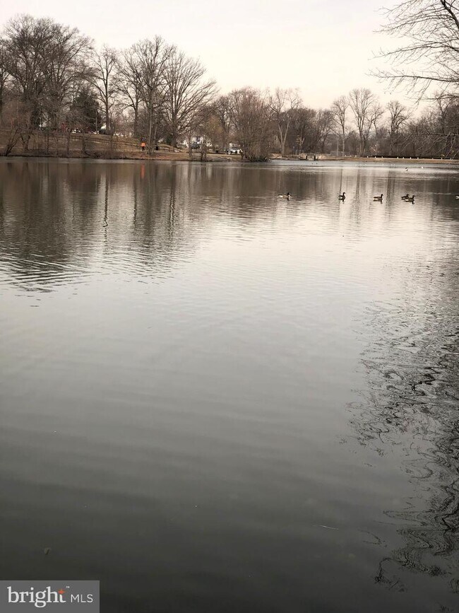 Foto del edificio - 604 Maple Ave