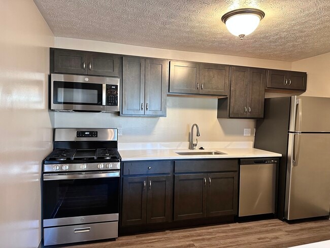 Willow - 1BR, 1BA - 675SF - Kitchen - Village in the Park Apartments