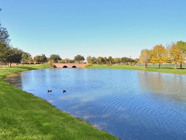 Building Photo - The Lakes at Cinco Ranch