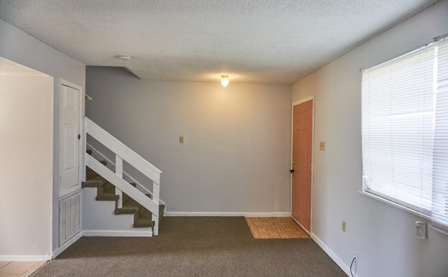 Building Photo - 4709 Viola St
