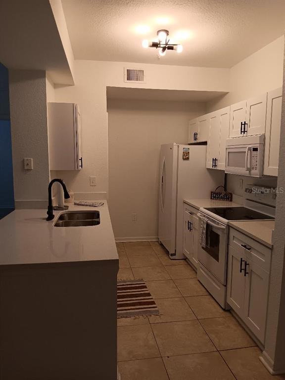 17104 Carrington Park Dr Unit 516, Tampa, FL 33647 Condo for Rent in