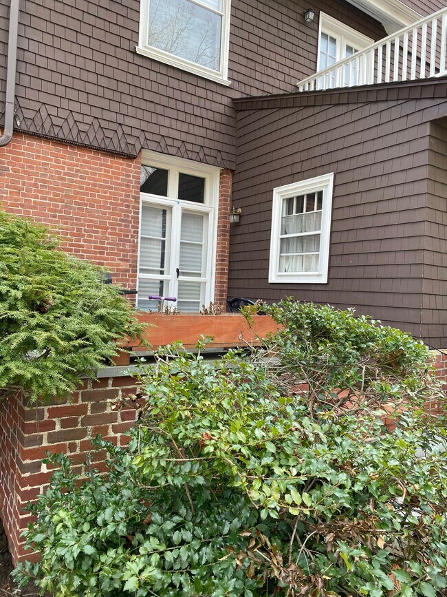 Private garden patio - 175 Milton St