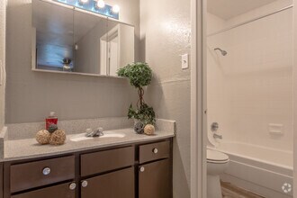 Ashford Santa Cruz photo'