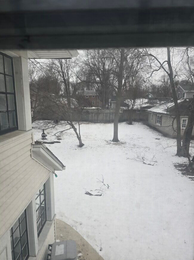 Side Yard - 515 Houston St