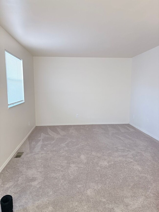 Photo - Cozy 1 Bedroom and 1 Bath with W/D Hookups Apartment