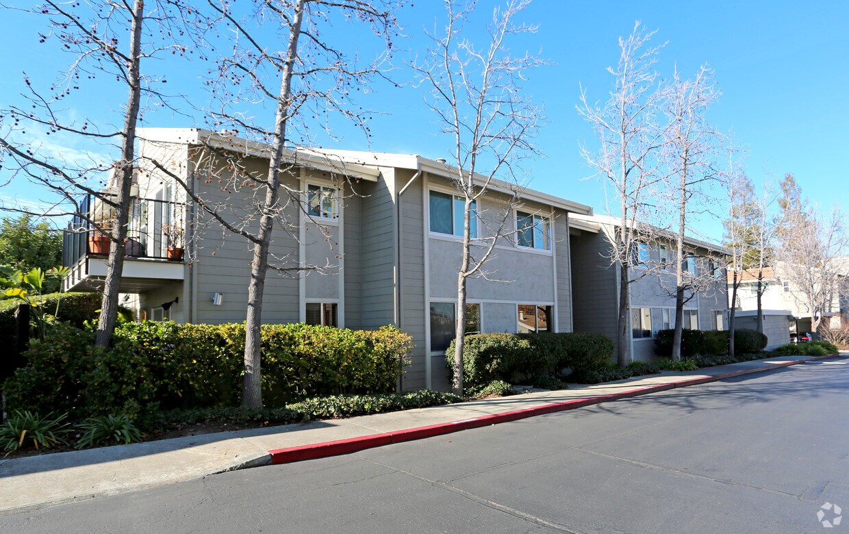 1089 Sunnyvale Ave, Walnut Creek, CA 94597 Apartments in Walnut Creek