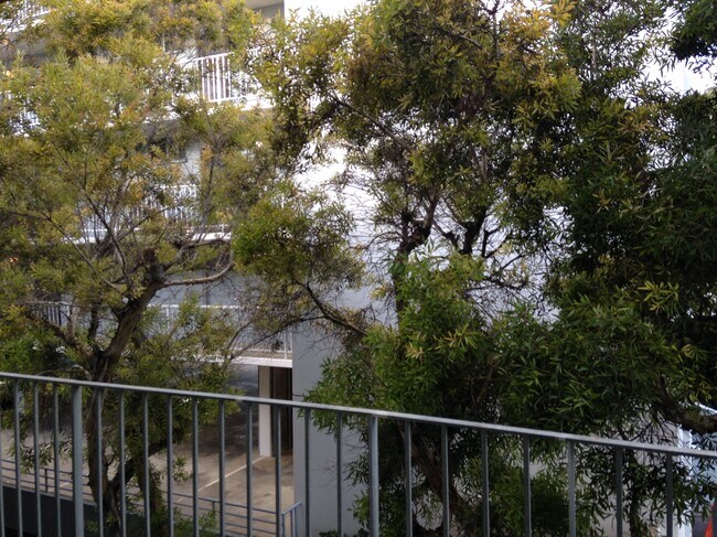 Lanai View - End Unit - 1714 Anapuni St