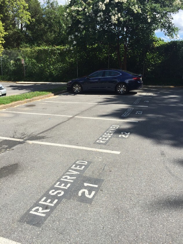 Foto principal - 4820 Chevy Chase Dr