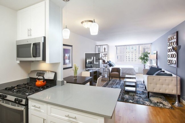 Foto del edificio - Spacious Studio,  355 South End Ave