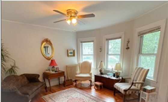 Living room - 43 Trowbridge St