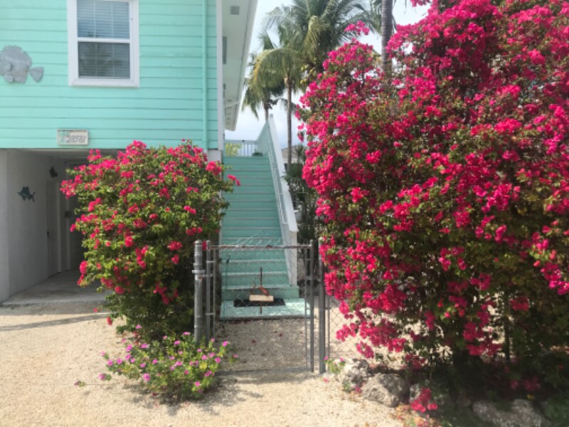 Primary Photo - 28581 Maracaibo Rd