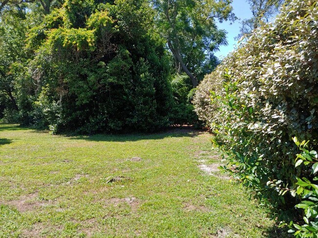 Building Photo - 63 Douglas St