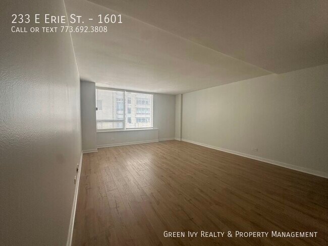 Foto del edificio - 233 E Erie St