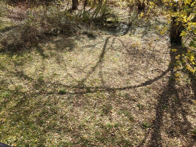 Large Backyard - 345 Mansfield Ave