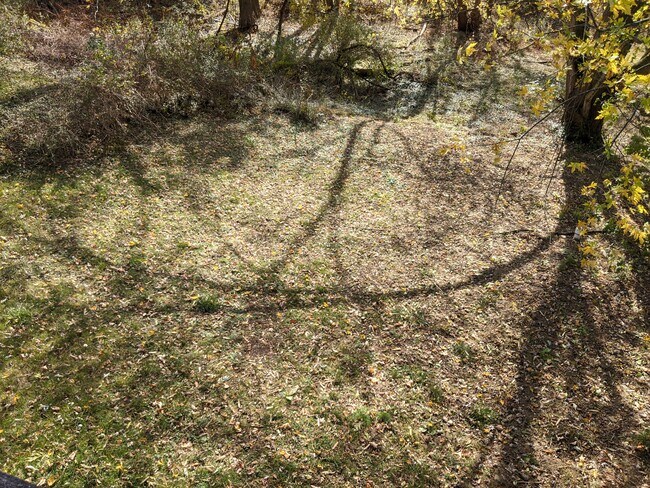 Large Backyard - 345 Mansfield Ave House