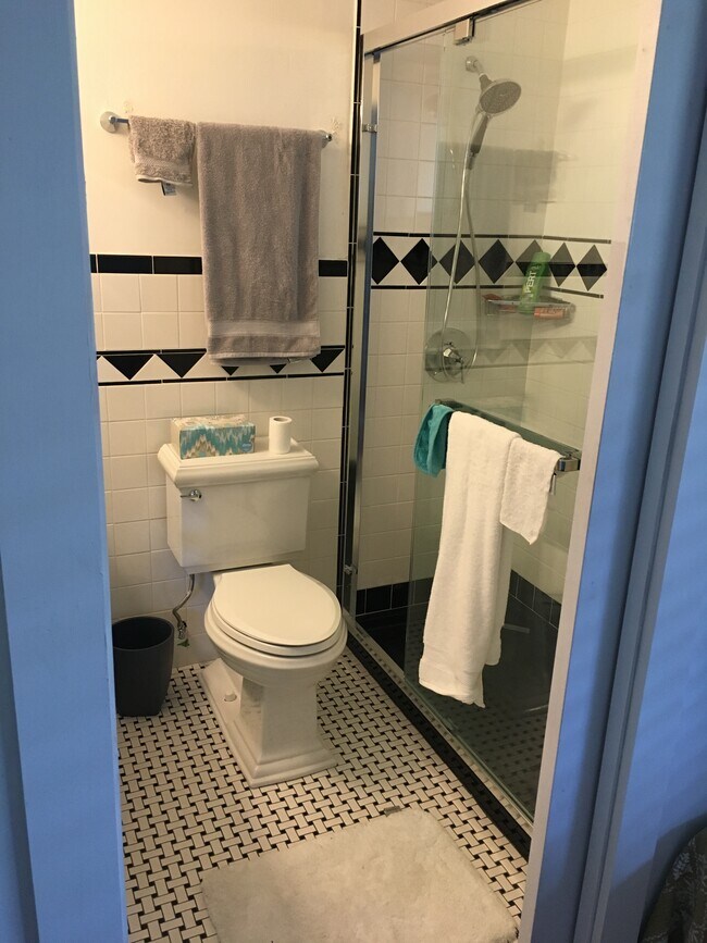 Primary en-suite bath - 1210 Windsor Rd