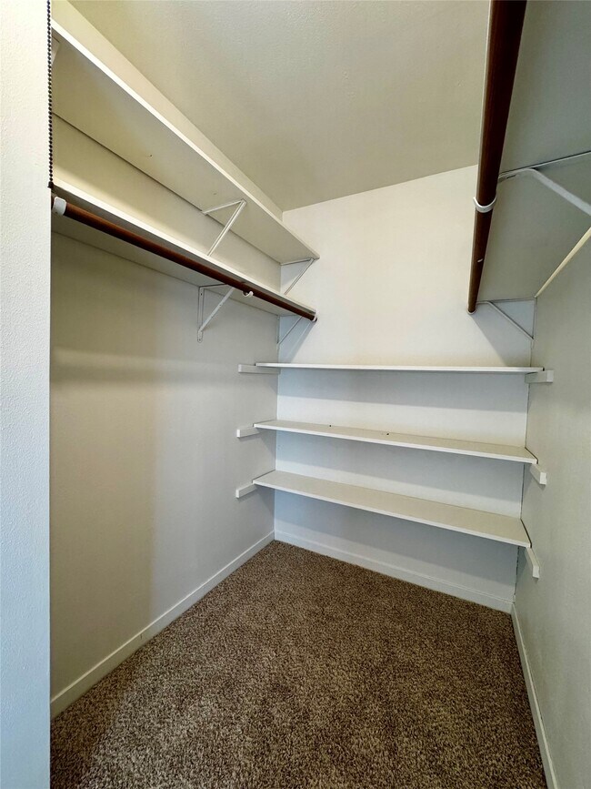 Building Photo - 24231 Shellbrook Dr