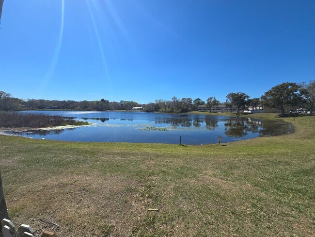 Building Photo - 2-Bedroom, 2-Bathroom Condo in Land O' Lakes