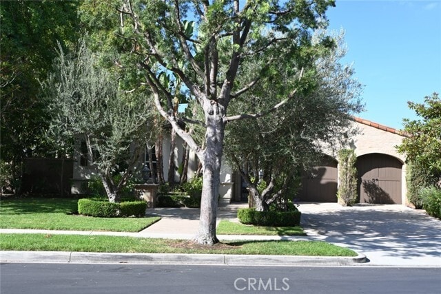 Foto del edificio - 41 Shady Ln
