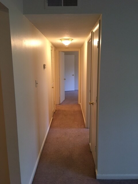 Foto del edificio - 2 Bedroom Apartment - Close to VSU!