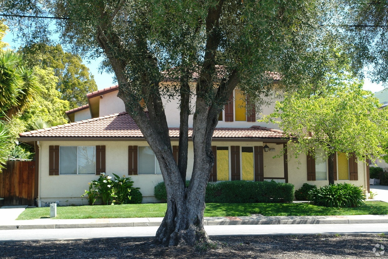 Primary Photo - 43222 Starr St