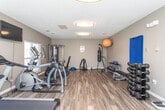 This dedicated fitness room is thoughtfully designed to support a comprehensive workout experience within a single, open-plan space. The room features durable wood-look flooring throughout, neutral taupe walls, and a textured ceiling with flush-mounted lighting that keeps the space bright and functional. Natural light filters in through windows fitted with horizontal blinds, contributing to an inviting and energizing atmosphere.

The cardio section is well-appointed with a treadmill and an elliptical trainer, complemented by a wall-mounted flat-screen television for entertainment during workouts. A multi-station cable machine provides a wide range of strength-training options, while a dedicated free weights area includes a full dumbbell rack with multiple weight increments, kettlebells, and medicine balls arranged on a workout bench. Additional functional training equipment includes a punching bag with stand, a stability ball, a yoga mat, a BOSU balance trainer, and a yoga/exercise mat mounted to the wall for easy access.

A water cooler station near the entry ensures convenient hydration, and a scale is available for tracking fitness progress. The space is well-ventilated with visible HVAC vents and includes security features such as a wall-mounted camera. The overall layout is organized and spacious, allowing users to move freely between equipment zones for a complete and efficient workout session.