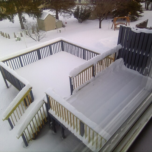 Foto del edificio - 1103 Autumn Dr