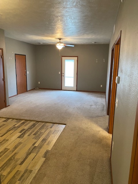 Building Photo - 804 Ruud Ln