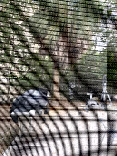 Foto del edificio - 1590 NE 127th St