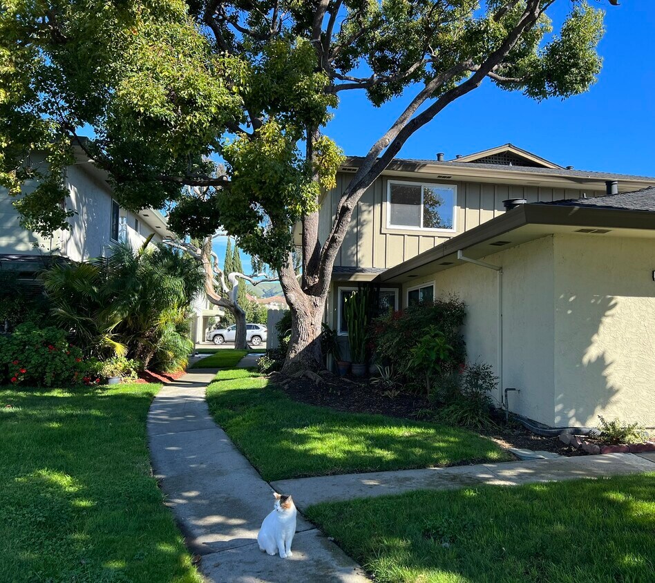 Foto principal - 34716 Skylark Dr