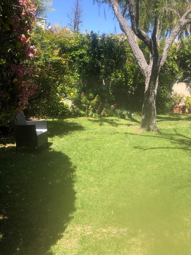 Backyard - 556 Radcliffe Ave