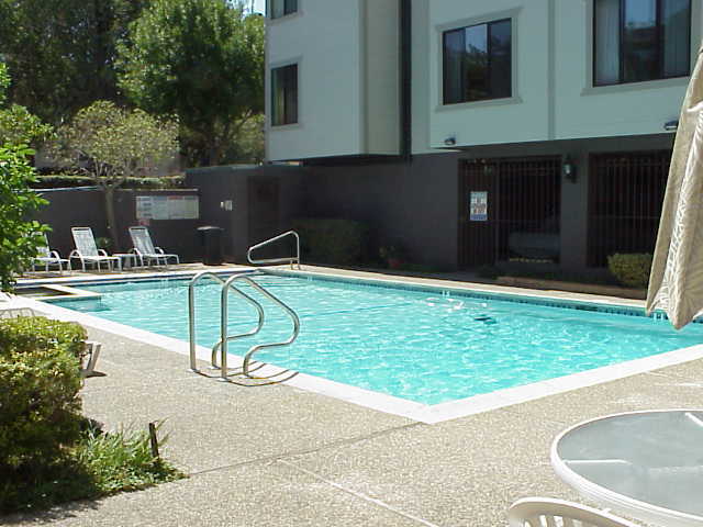 Courtyard pool - 500 Poplar Ave