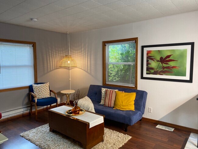 Furnished living room - 221 Arthur Ave SE