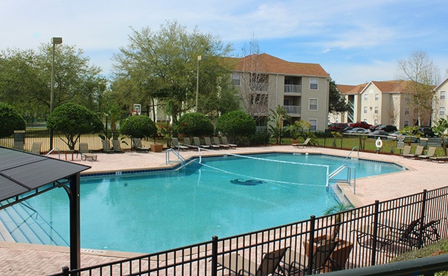 Phase 1 Pool - Pointe at Central Apartments