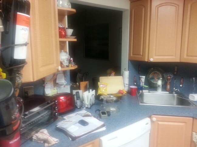 remodel kitchen - 2571 Aragon Blvd