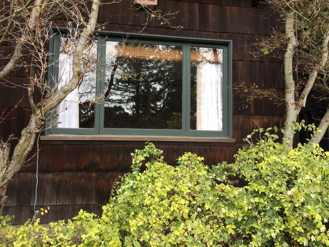 looking from street into apt. window - 86 Tamalpais Rd