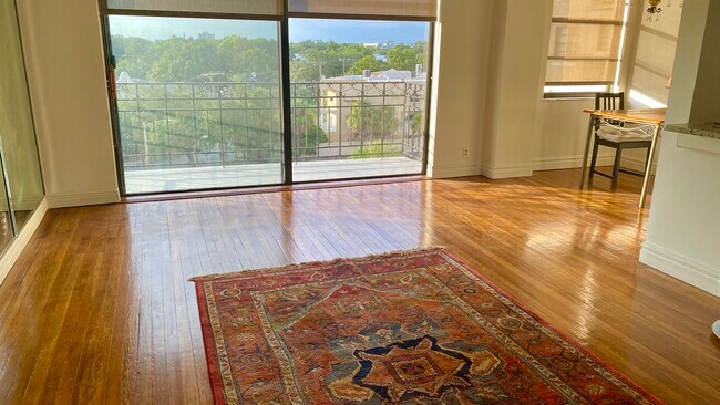 Living Room - 2109 Bayshore Blvd