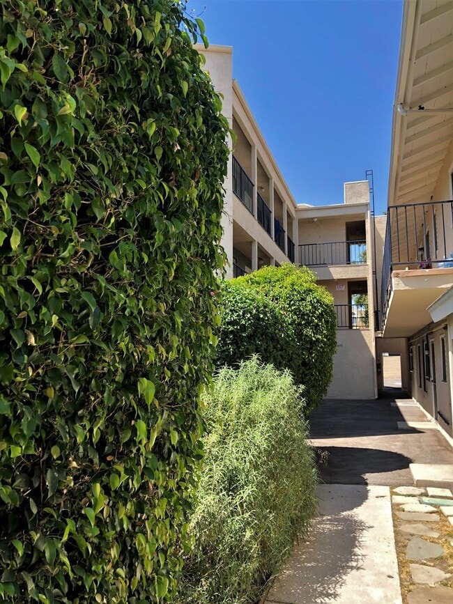 Building Photo - Spacious, bright and HUGE 2bd/1ba + 2 park...