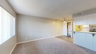 Located at 450 W Cool Dr in Oro Valley, Arizona, this efficiently designed single-floor unit offers a thoughtful layout across a compact footprint. The open-concept living area features neutral-toned carpet, soft gray walls, and a textured ceiling, creating a clean and understated aesthetic. A ceiling fan provides both function and a subtle design element overhead, while a window along the exterior wall allows natural light to fill the space.

The kitchen flows seamlessly from the living area, separated by a peninsula counter with granite-style countertops that doubles as a breakfast bar. White cabinetry lines both the upper and lower sections of the kitchen, complemented by stainless steel appliances — including a refrigerator, electric range, and over-the-range microwave — and wood-look tile flooring that adds warmth and durability.

A dedicated closet with built-in shelving provides organized storage just off the main living space. The bathroom is well-appointed, featuring a granite-top vanity with white cabinetry, a large wall mirror, hardwood-style flooring, and a full shower-tub combination. Clean white finishes throughout give the bathroom a bright and functional feel.

Overall, the unit presents a cohesive, neutral palette with modern fixtures and practical finishes suited for comfortable everyday living.