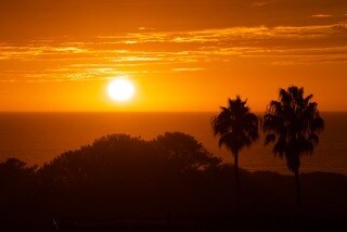 Foto principal - 632 E Solana Cir