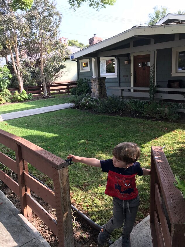 Front Yard - 2331 Glyndon Ave