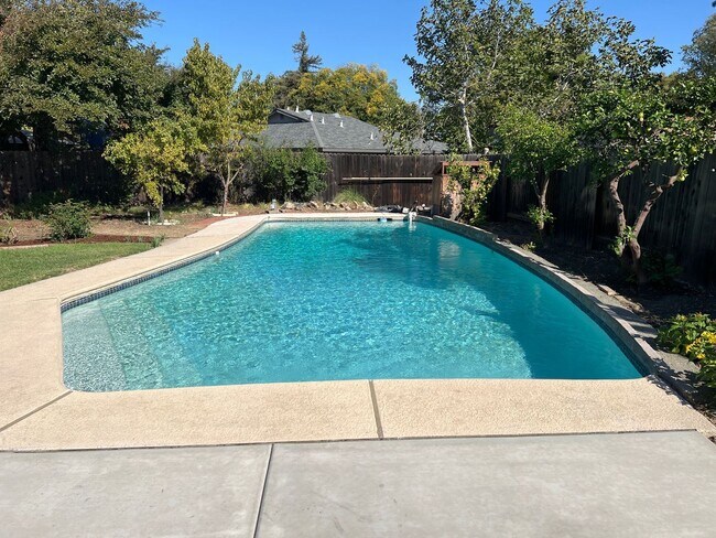 Foto del edificio - 4 br, 2 bath House - 1133 Auburn Drive