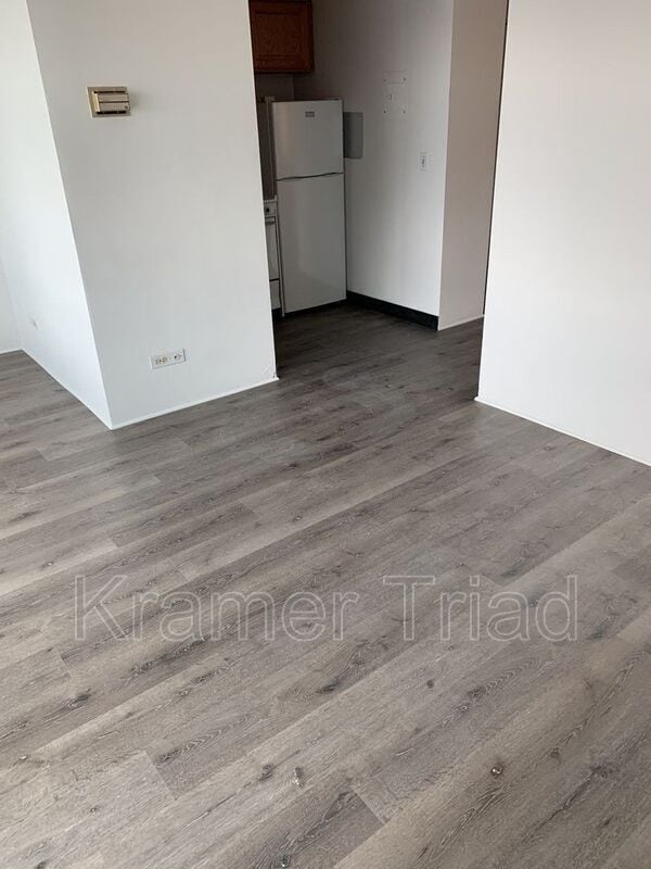 Photo - 555 E William St Apartment