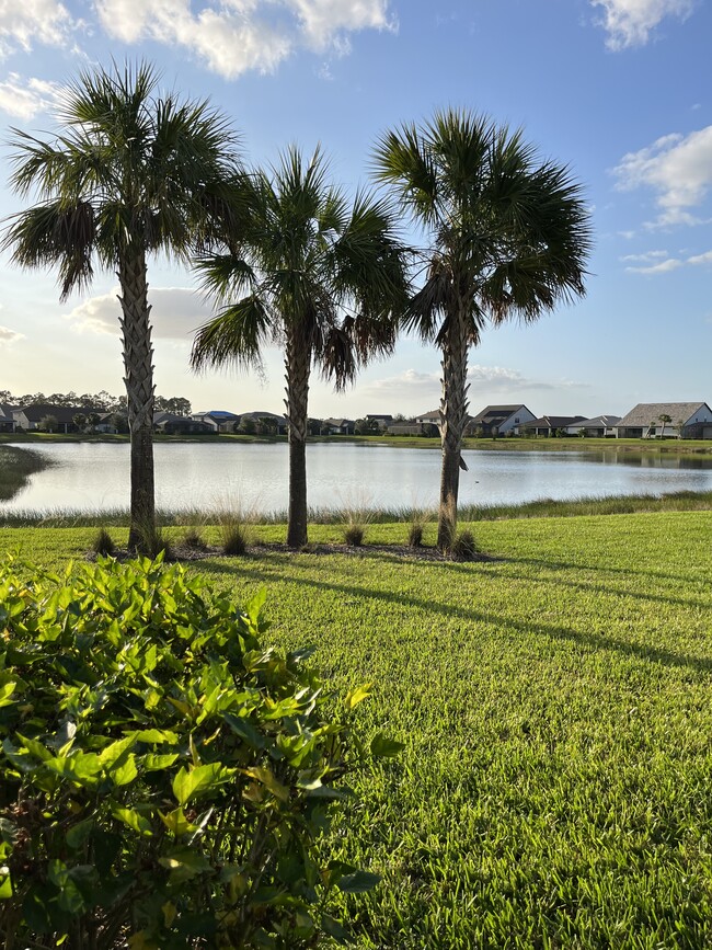 Building Photo - 9605 Bexley Dr