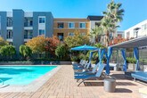 Located at 500 Race St in San Jose, California, this generously sized outdoor amenity space offers a resort-inspired pool deck experience within a well-appointed residential community. The centerpiece of the space is a large, sparkling swimming pool with crystal-clear blue water, complemented by a separate spa area for relaxation. The expansive brick-paver pool deck surrounds the water on all sides, providing ample room for lounging and socializing.

Numerous blue chaise lounge chairs are thoughtfully arranged along the pool's perimeter, offering comfortable spots to soak up the abundant California sunshine. Private cabanas draped in blue fabric provide shaded retreats for guests seeking a more intimate setting, while patio umbrellas offer additional sun protection throughout the deck.

The space is richly landscaped with a diverse mix of mature palm trees, weeping ornamental trees, colorful seasonal plantings, succulents, and raised garden beds, creating a lush, resort-like atmosphere. Decorative lampposts and planters add architectural interest throughout the courtyard.

The pool deck is framed by the surrounding multi-story residential buildings, featuring contemporary architecture with balconies, varied exterior colors, and large windows. The overall ambiance is vibrant, open, and inviting, capturing the essence of outdoor California living.