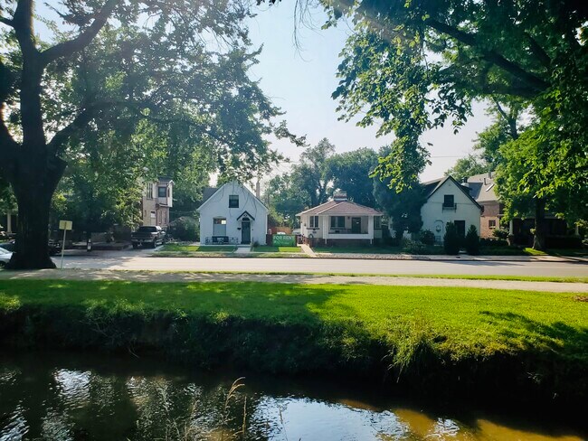 View of Home from Washington Park! - 815 S Downing St